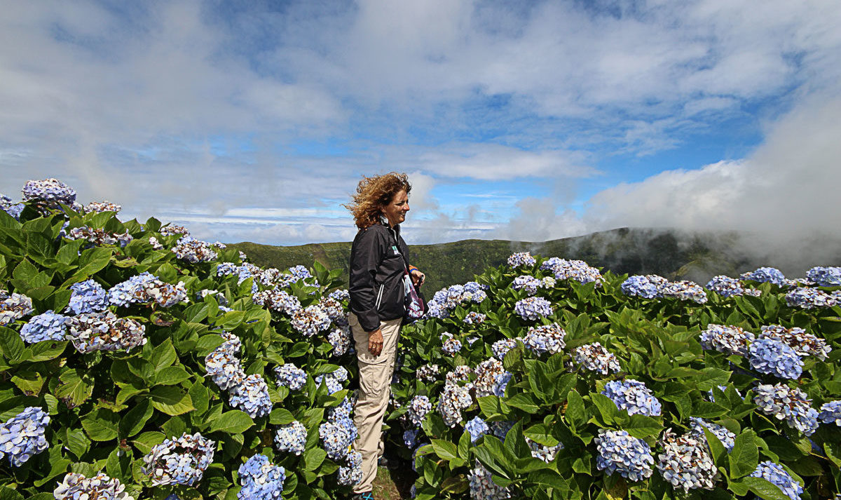 IMG_3547--sc_saraortensie_imaginaction