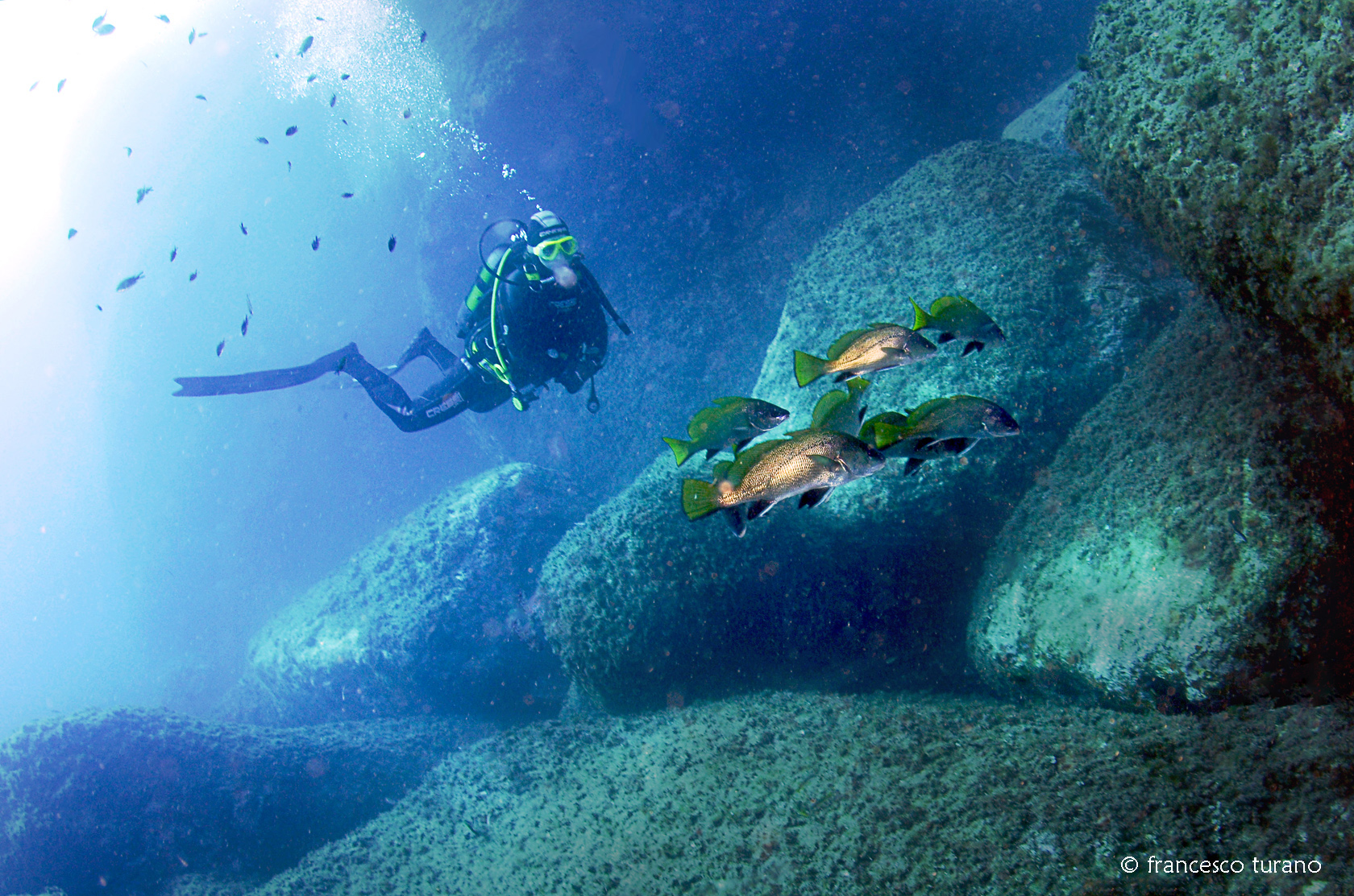 Sara sott'acqua al faro di Portofino - foto di Francesco Turano