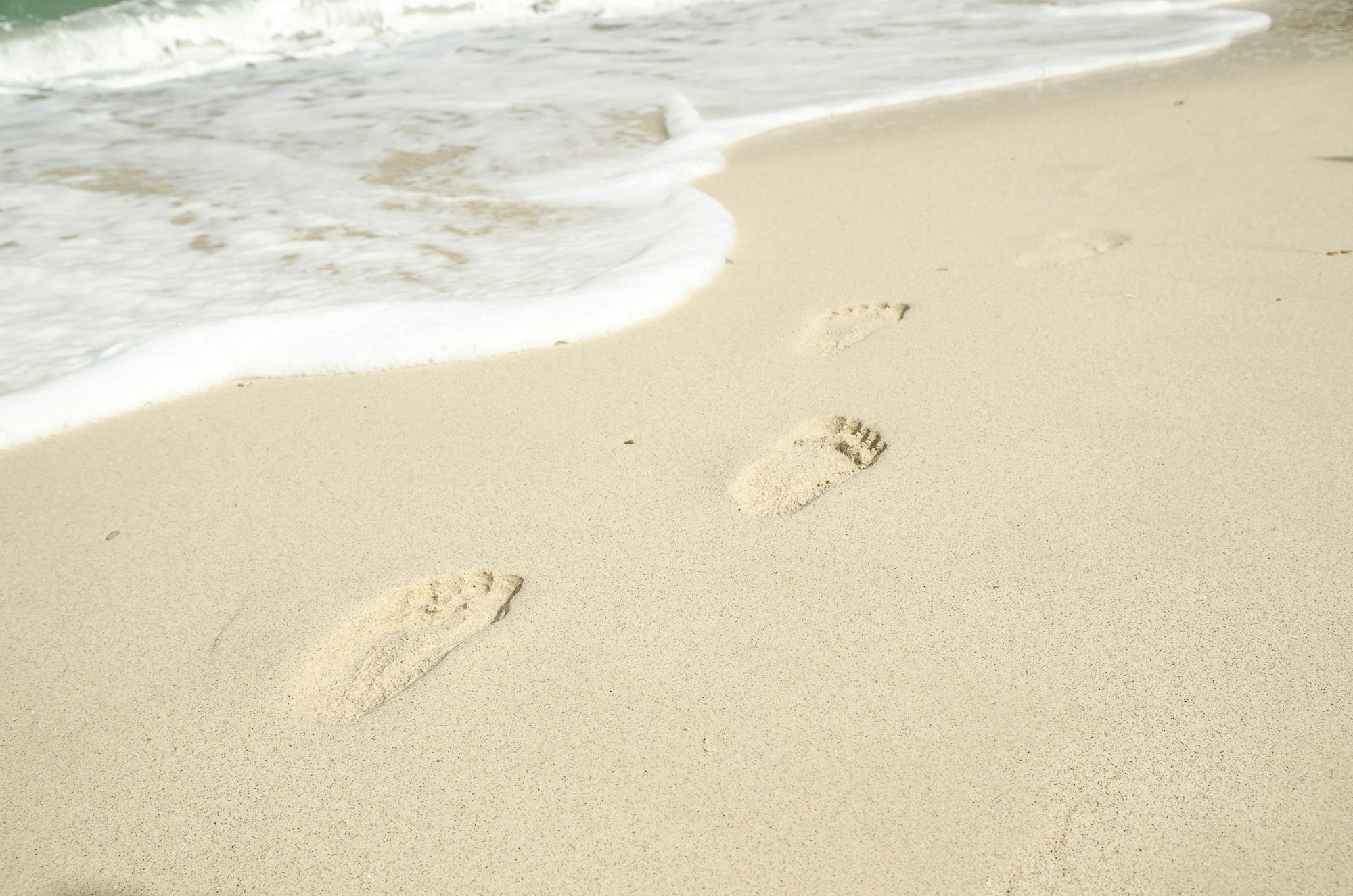 foot step in sand on beach