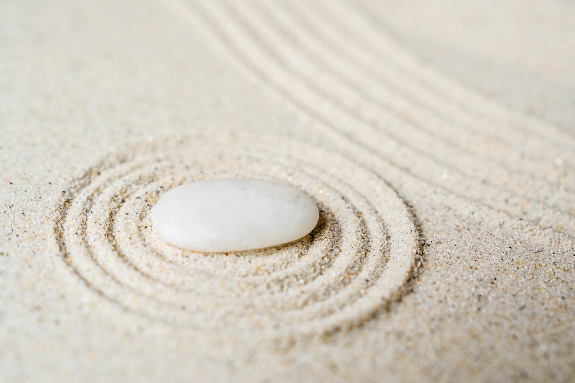 Symbol of meditation still life and peaceful